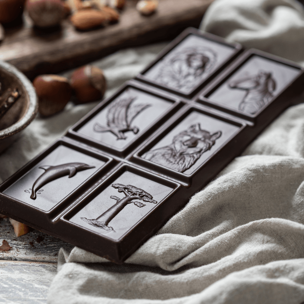 Boite transport NESTLE Chocolat Merveilles du monde vintage 20 cm 
